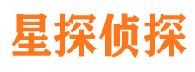 隆德寻人公司